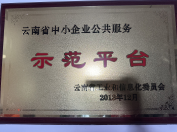 2013年云南省中小企業(yè)公共服務示范平臺.
